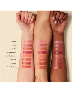 Multi-Stick - Lady bird - Ilia Beauty 2