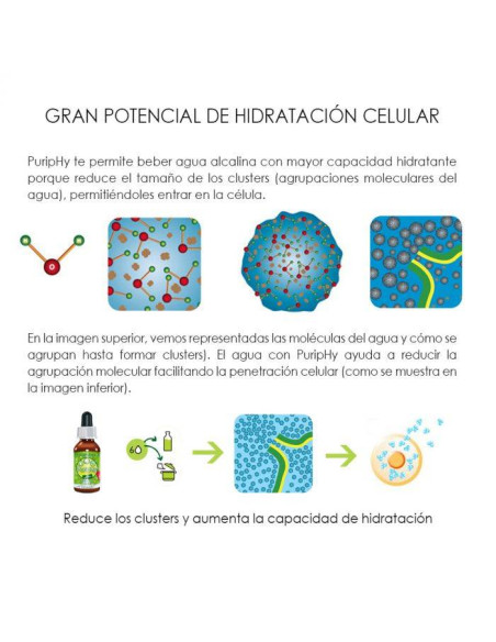 PURIPHY 30ML - ALKALINE CARE