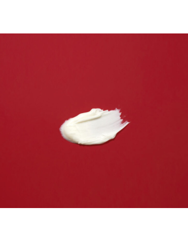 Stem Cell + Ceramide Peptide Cream (50ml) - Eleven Obi