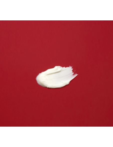 Stem Cell + Ceramide Peptide Cream (50ml) - Eleven Obi