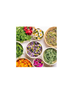 Reparadora de manos y uñas 100% Bio - Matarrania 2