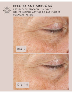 Crema Contorno de Ojos Radiant Eyes (30ml) - Santulana 2