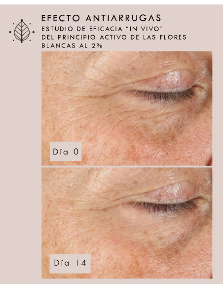 Crema Contorno de Ojos Radiant Eyes (30ml) - Santulana