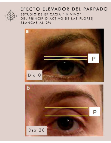 Crema Contorno de Ojos Radiant Eyes (30ml) -...