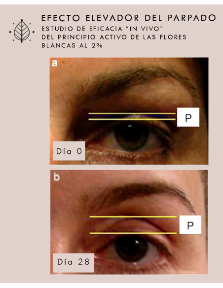 Crema Contorno de Ojos Radiant Eyes (30ml) - Santulana